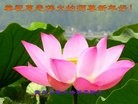 ֹ,½󷨵ӹףʦԪ(108)
