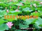 ֹ,½󷨵ӹףʦԪ(108)
