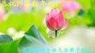 ֹ,½󷨵ӹףʦԪ(63)
