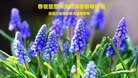 ֹ,½󷨵ӹףʦԪ(108)
