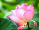 ֹ,½󷨵ӹףʦԪ(108)
