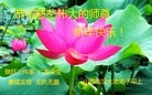 ֹ,½󷨵ӹףʦԪ(108)
