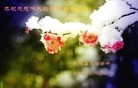 ֹ,½󷨵ӹףʦԪ(108)
