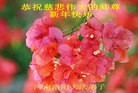 ֹ,½󷨵ӹףʦԪ(108)
