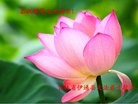 ֹ,½󷨵ӹףʦԪ(63)
