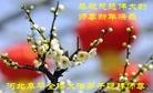 ֹ,½󷨵ӹףʦԪ(108)
