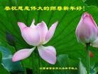 ֹ,½󷨵ӹףʦԪ(108)
