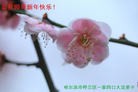 ֹ,½󷨵ӹףʦԪ(108)
