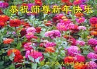 ֹ,½󷨵ӹףʦԪ(63)
