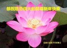 ֹ,½󷨵ӹףʦԪ(63)
