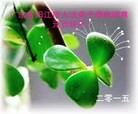 ֹ,½󷨵ӹףʦԪ(64)
