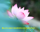 ֹ,½󷨵ӹףʦԪ(64)
