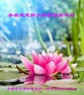 ֹ,½󷨵ӹףʦԪ(52)
