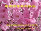 ֹ,½󷨵ӹףʦԪ(52)

