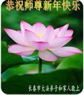 ֹ,½󷨵ӹףʦԪ(52)
