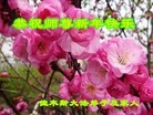 ֹ,½󷨵ӹףʦԪ(52)
