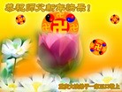ֹ,½󷨵ӹףʦԪ(52)
