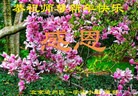 ֹ,½󷨵ӹףʦԪ(30)
