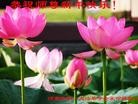 ֹ,½󷨵ӹףʦԪ֣71
