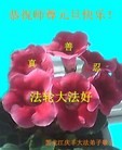ֹ,½󷨵ӹףʦԪ֣71

