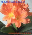 ֹ,½󷨵ӹףʦԪ֣71
