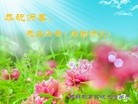ֹ,½󷨵ӹףʦԪ֣71

