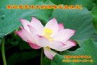ֹ,½󷨵ӹףʦԪ֣71
