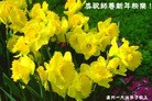 ֹ,½󷨵ӹףʦԪ֣71
