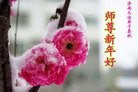 ֹ,½󷨵ӹףʦԪ֣71
