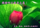 Published on 1/1/2015 ���ֹ�,��½�󷨵��ӹ�ףʦ��Ԫ�����֣�71����
