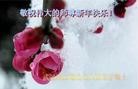 ֹ,½󷨵ӹףʦԪ֣71

