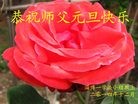 ֹ,½󷨵ӹףʦԪ֣58
