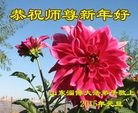 法轮功,大陆大法弟子恭祝师尊元旦快乐（58条）
