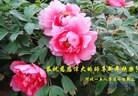 ֹ,½󷨵ӹףʦԪ֣58
