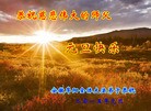ֹ,½󷨵ӹףʦԪ(51)
