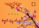 ֹ,½󷨵ӹףʦԪ(51)
