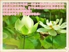 ֹ,½󷨵ӹףʦԪ(51)
