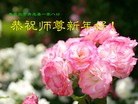 ֹ,ػʵ󷨵ӹףʦ(26)
