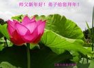 ֹ,Ϻ󷨵ӹףʦ(28)
