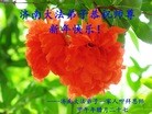 ֹ,ϴ󷨵ӹףʦ(25)
