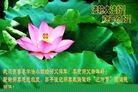 ֹ,人󷨵ӹףʦ(24)
