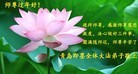 法轮功,青岛大法弟子恭祝师尊新年好(29条)
