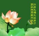 Published on 2/3/2014 ���ֹ�,��½�󷨵��ӹ�ףʦ���������(26��)
