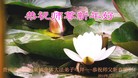 ֹ,ݴ󷨵ӹףʦ(31)
