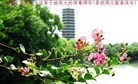 ֹ,մ󷨵ӹףʦ(31)
