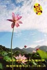 ֹ,󷨵ӹףʦ(27)
