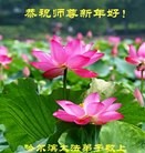 Published on 1/30/2014 ���ֹ�,��½�󷨵��ӹ�ףʦ���������(42��)
