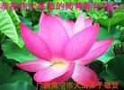 ֹ,½󷨵ӹףʦ֣34
