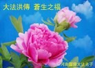 ֹ,ϴ󷨵ӹʦ𻪵ߴ󷨺鴫ʮ(21)
