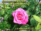 ֹ,Ϋ󷨵ӹʦ𻪵ߴ󷨺鴫ʮ(23)

